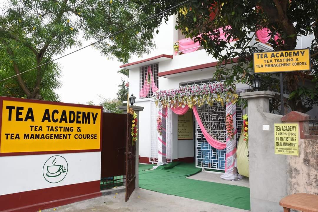 Tea Academy Siliguri